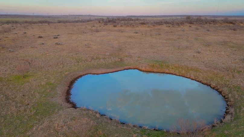 4. Western Pond