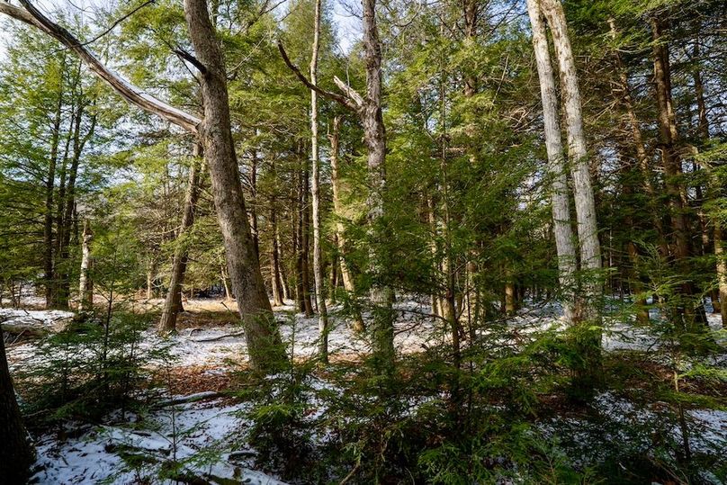 Somerset, 23.59, Keller-62