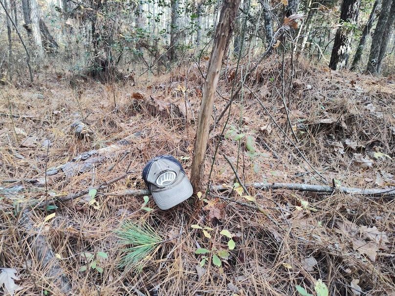 IMG_20251105_150426063