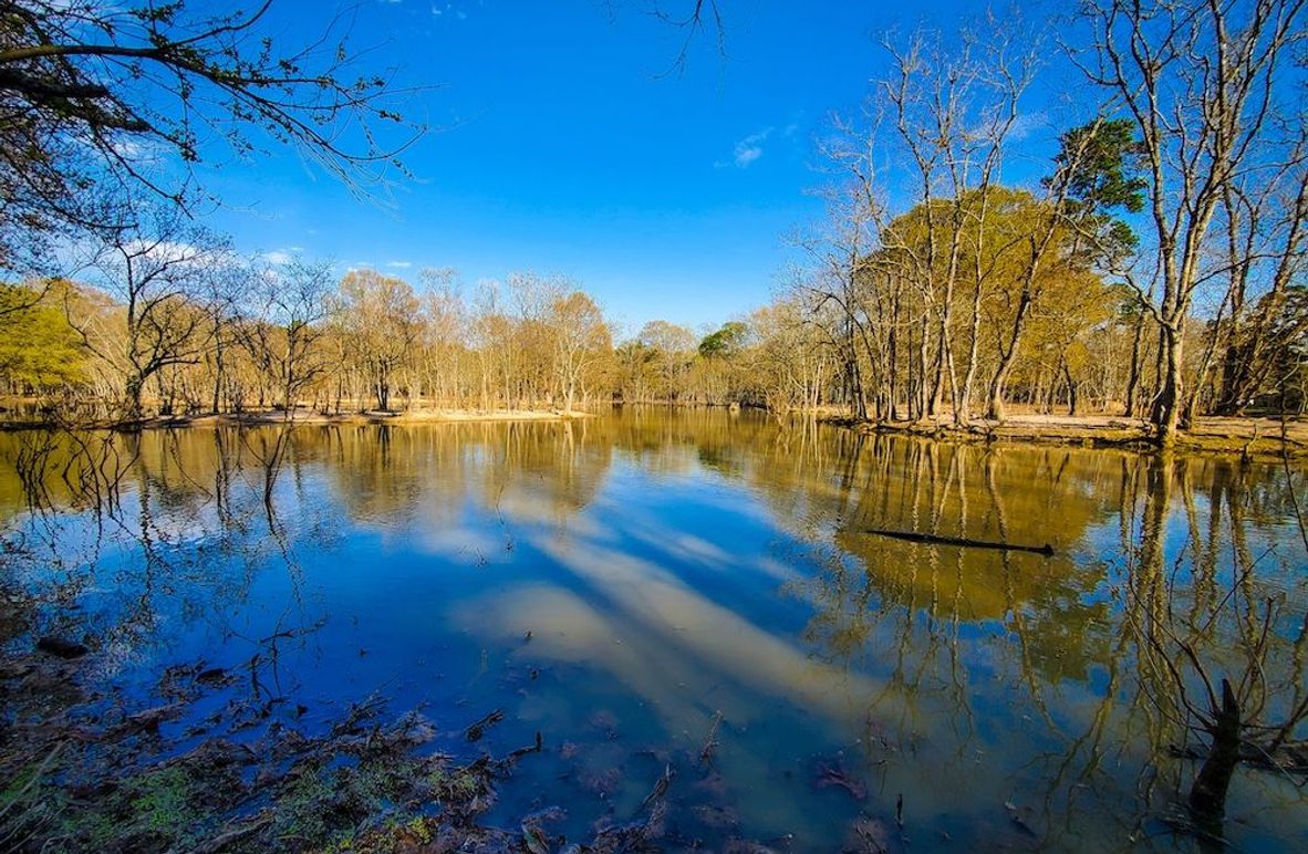 Copy of 20240301_161823