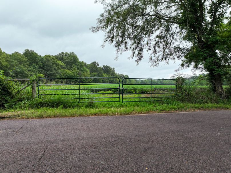 DJI_20230815084653_0024_D