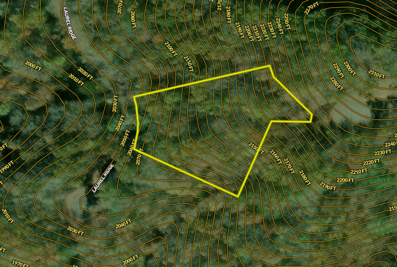 Madison Co 1.31 Pallardy3