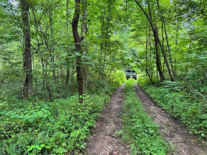 012 nice access trail from the East entrance