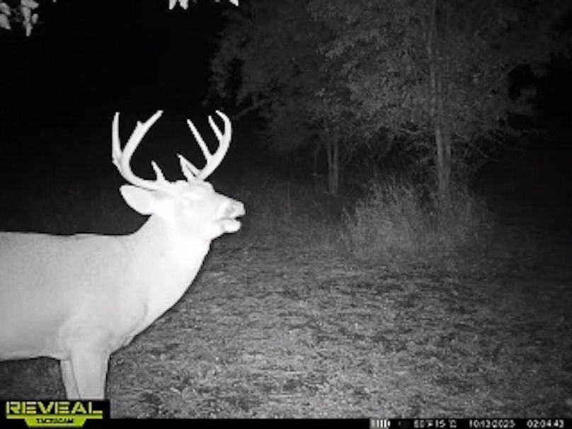 865509050418056-60-4-10132023020508-W1002871