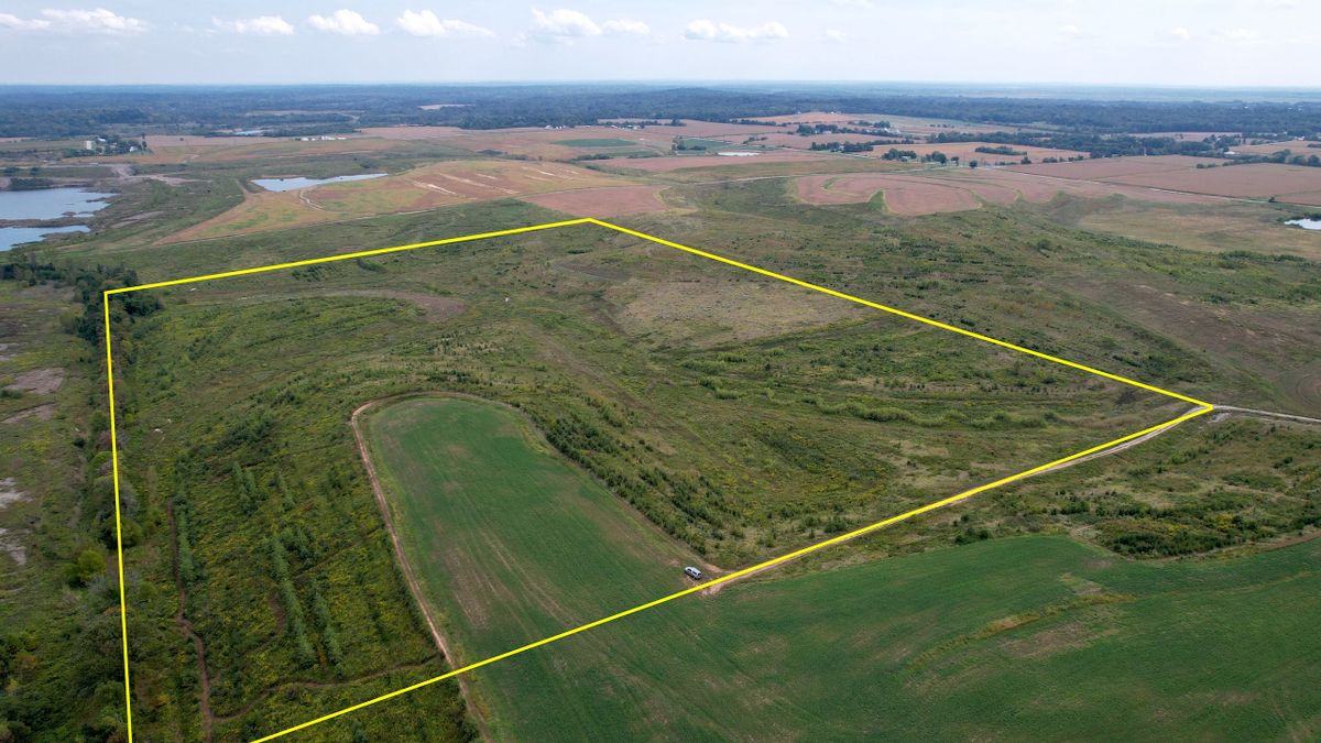 Perfectly Located Expansive Buildable Recreational Acreage Whitetail
