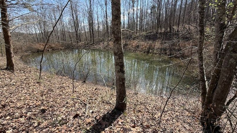 Butler 118 Capella18