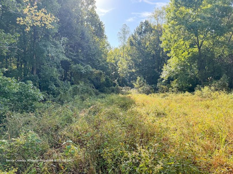 DeSoto 109 Prewett -42