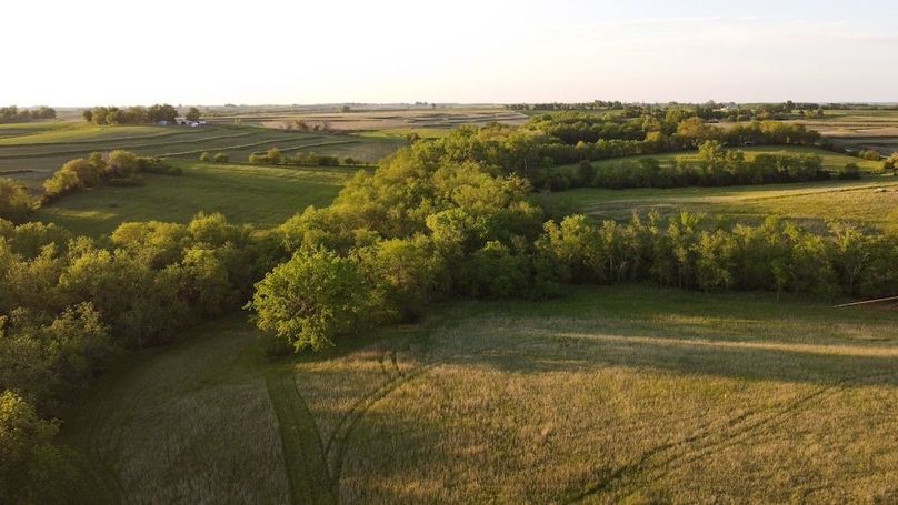 PAGE CO IA 40+_-_45