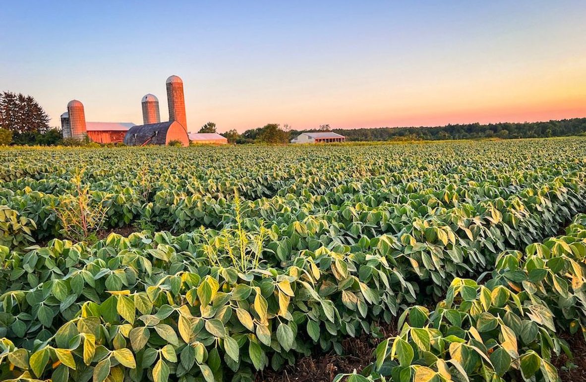 Wood Main Listing Photo 2