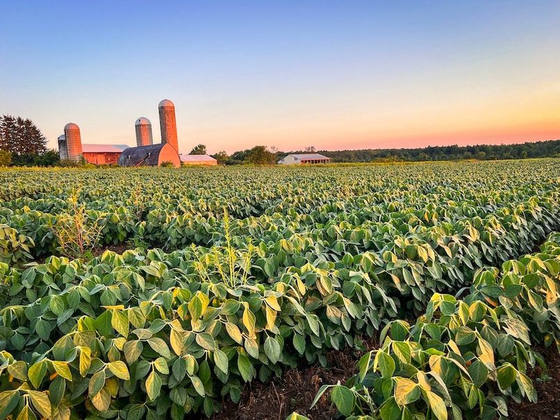 Wood Main Listing Photo 2