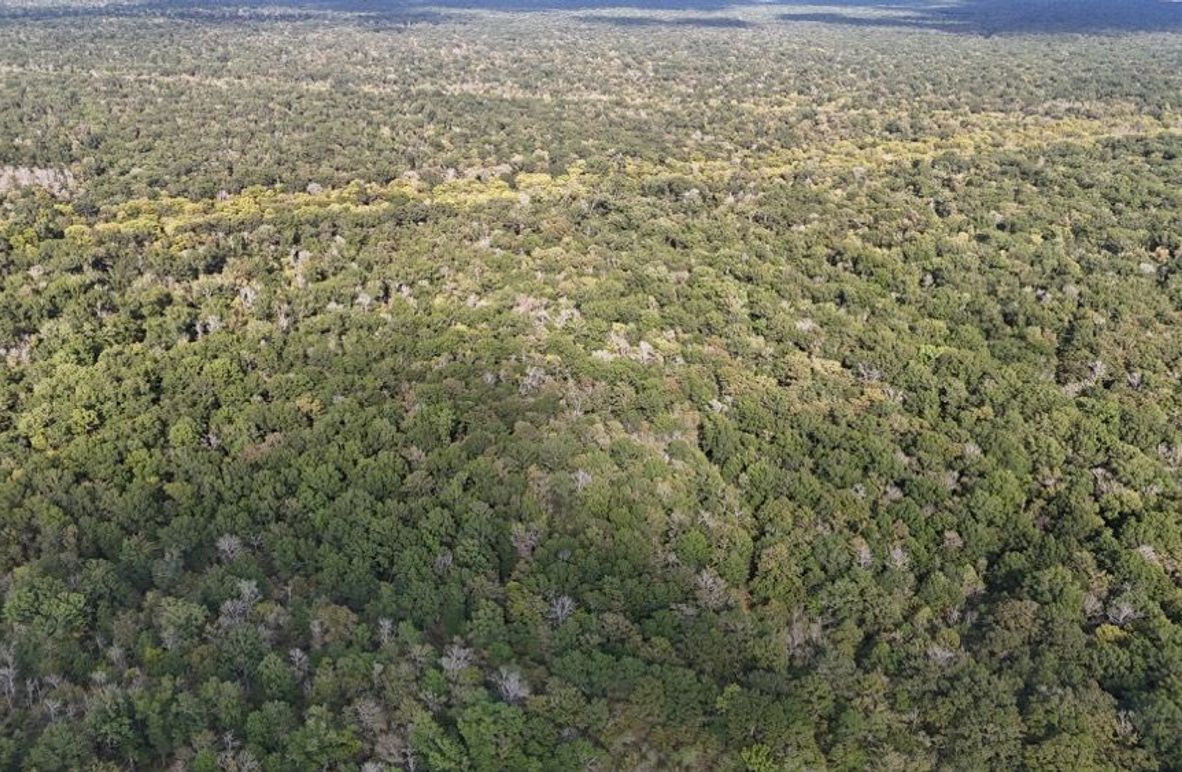 DJI_20250930052826_0761_D