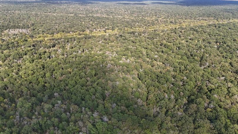 DJI_20250930052826_0761_D