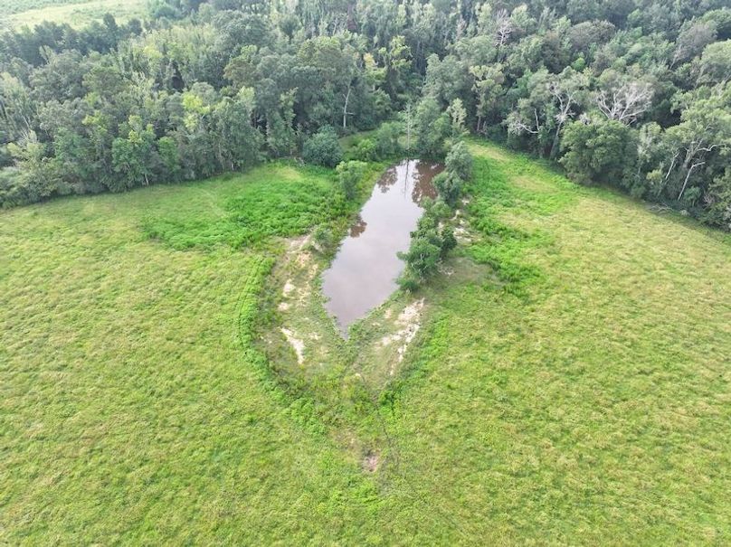 dji_fly_20250730_083420_0312_1753888800694_photo