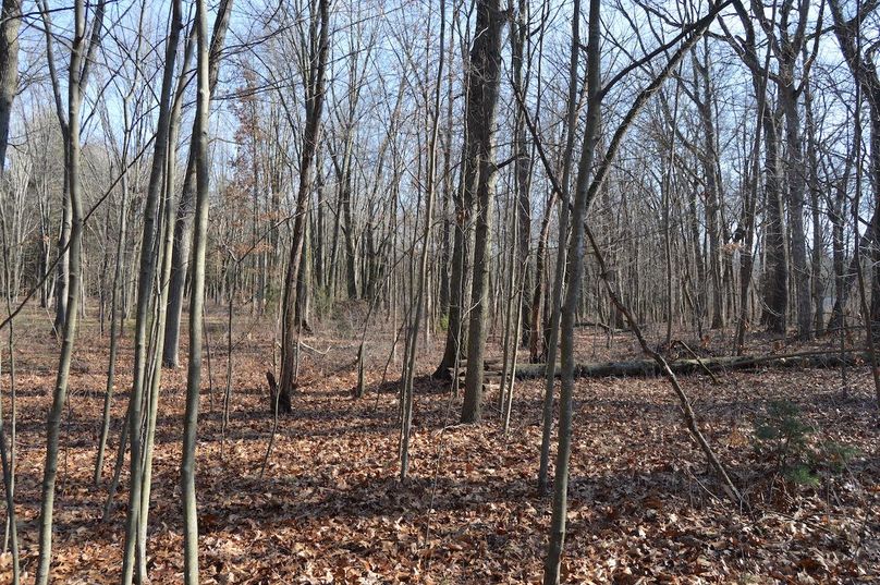 south edge looking east