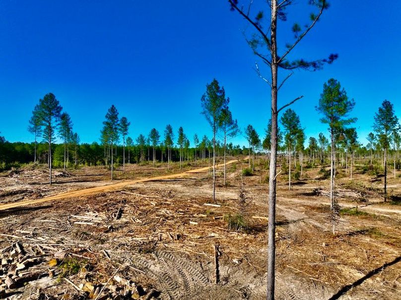 BDB151E9-2E03-40BF-8C35-F64A17B1A3E0_1_201_a