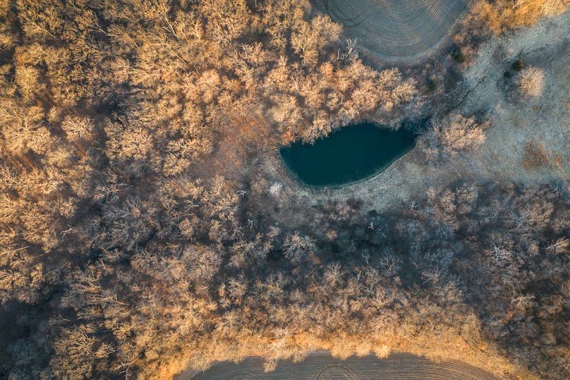 DJI_20260228070453_0294_D