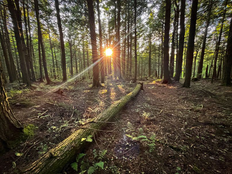 Oswego_30_RouselandInvestments_LLC_Photos_1