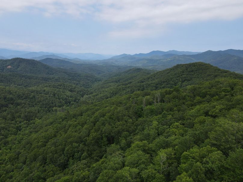 Swain 39 Tysinger-01