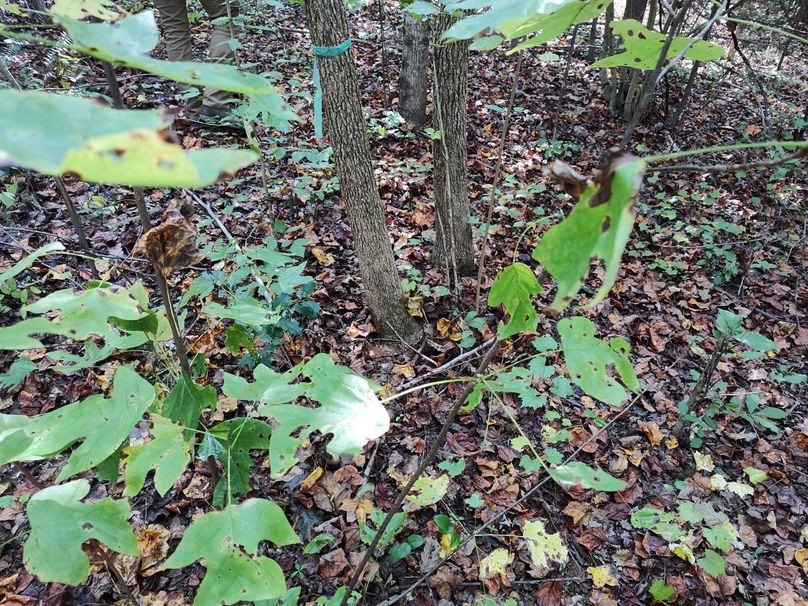 IMG_20231009_151327124