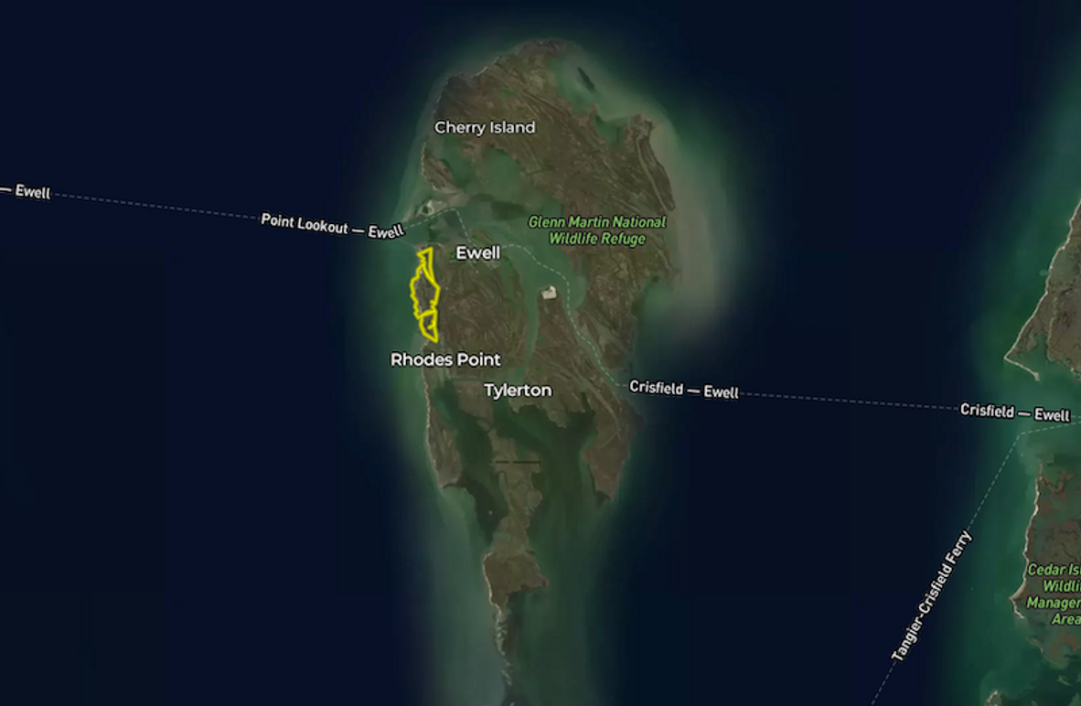 Screenshot 2025-03-07 at 3.12.07 PM