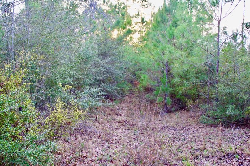 18B95FF7-B7AC-4C4A-98D3-7A012DF07EC5_1_105_c