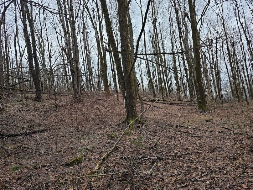 photo_ec699f8d-1701-43d7-bd30-e014475fbad8