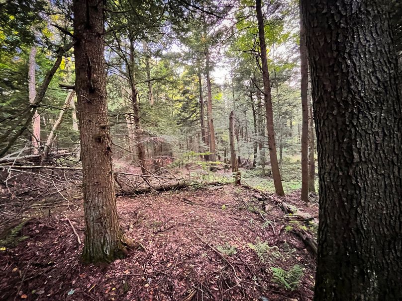 Oswego_30_RouselandInvestments_LLC_Photos_30