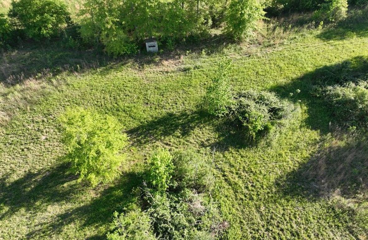 1A30F6A1-13BC-4932-8BF7-05D741403599_1_105_c