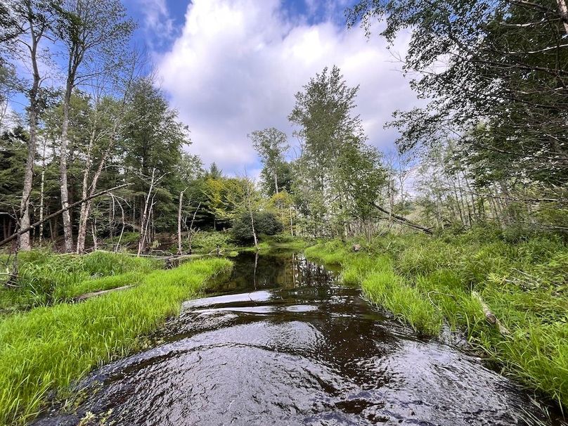 Oswego_133.72_Middleton_Photos_30