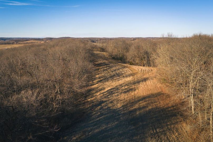 DJI_20260218161334_0627_D