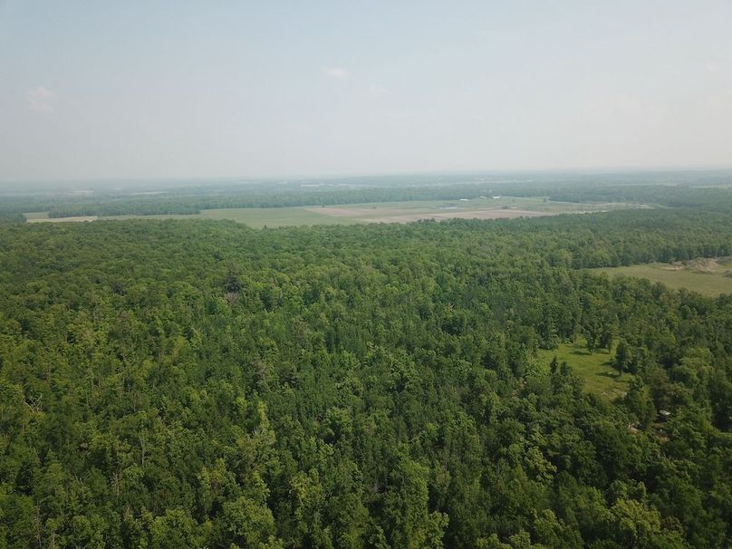 DJI_0049