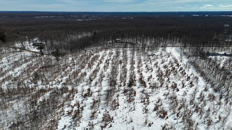 DJI_20260327120204_0357_D