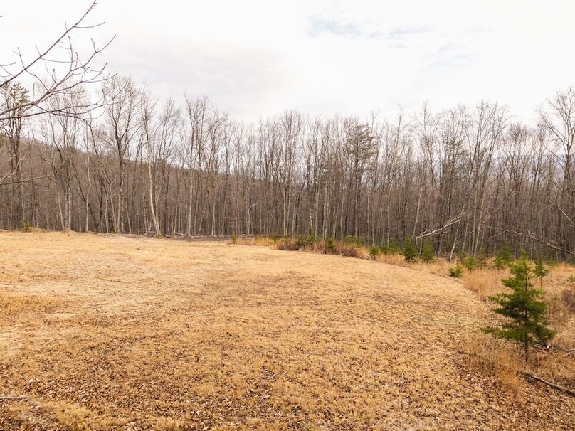 DJI_20260304160053_0026_D