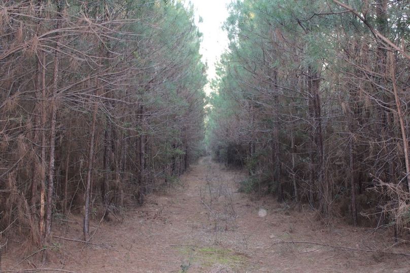 BCF62869-D4E7-430F-BFEB-631833D971D2_1_105_c