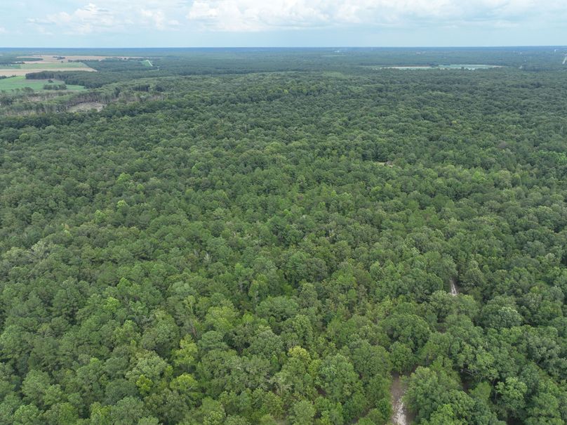 dji_fly_20230727_170030_383_1690507717624_photo 3