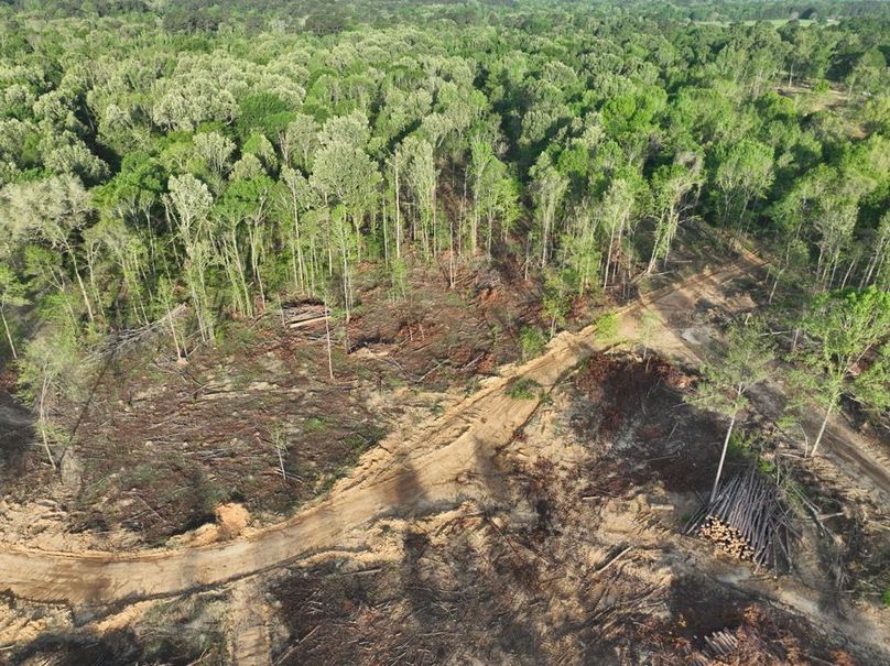 dji_fly_20260407_083644_368_1775580303740_photo