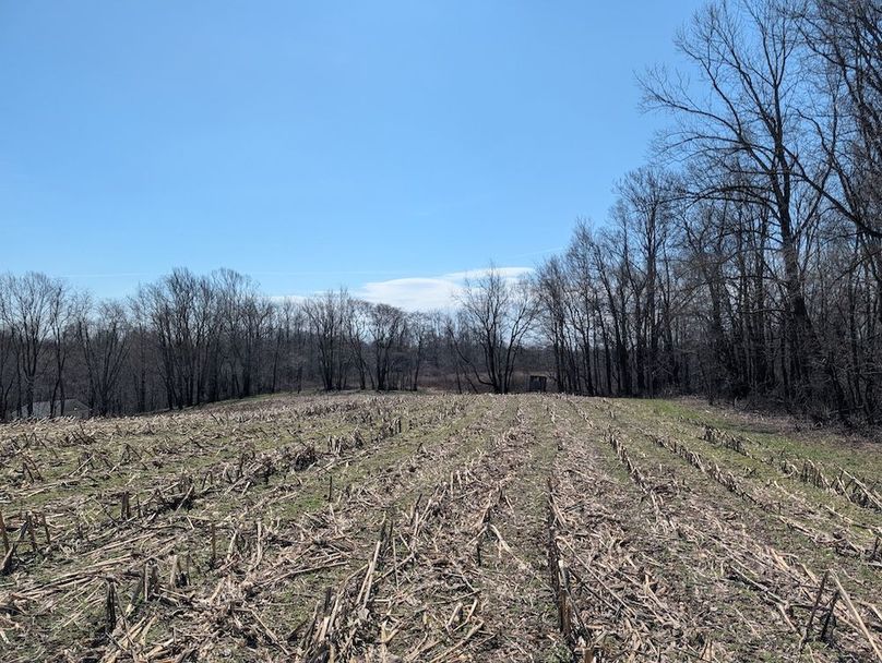 PXL_20260326_163109402