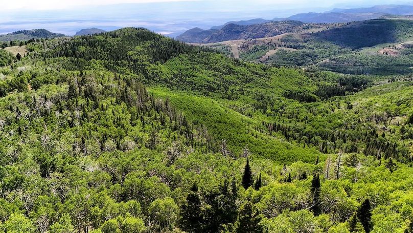 DJI_20250726165615_0069_D