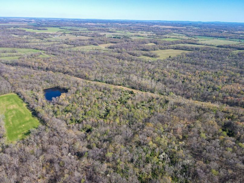 vandalia 450 (2)-2514