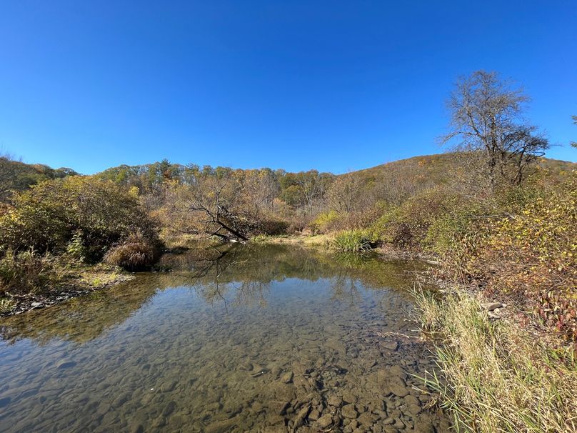 Schuyler_25.155_Ennis_Photos_4