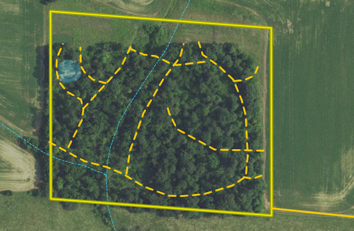 Screenshot 2024-02-19 at 10.46.32 AM