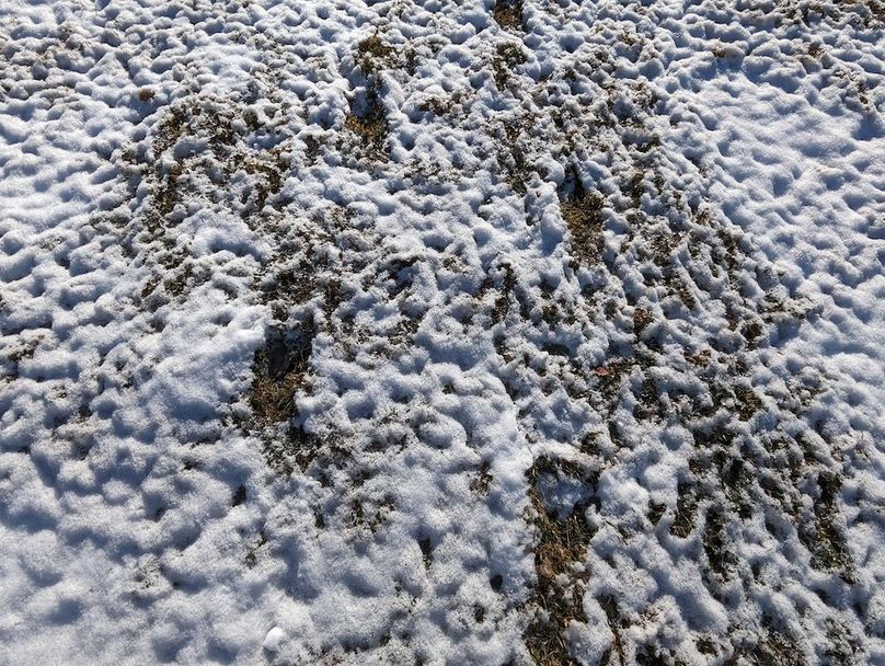 PXL_20240229_210502924