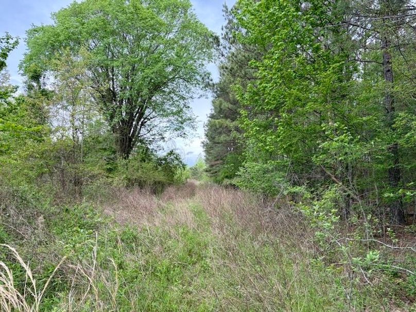 99BCF0E5-768F-43EA-A268-8712AEEBD20D_1_105_c