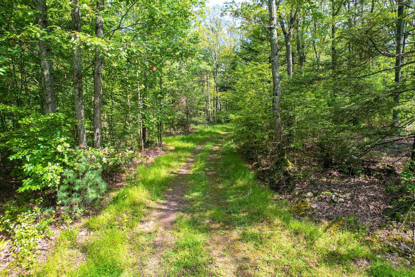 dji_fly_20230912_125932_305_1694538316525_photo