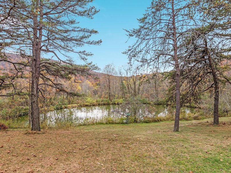 26-DJI_0293_ 291 Capon Springs Grade - Absolute Altitude - 10 - 2025 -26