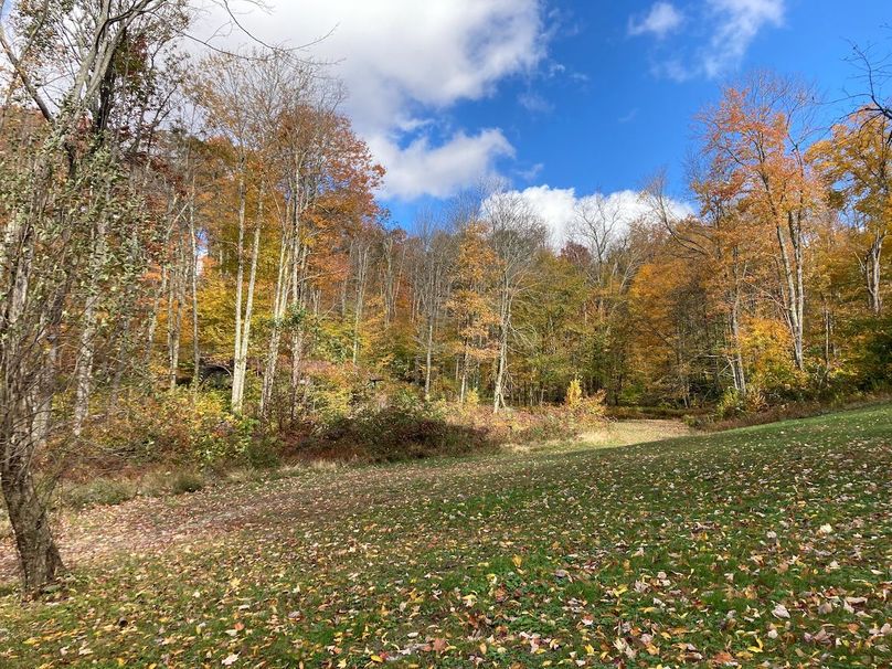 Webster, WV 21.15 AC HardwayCamp-32