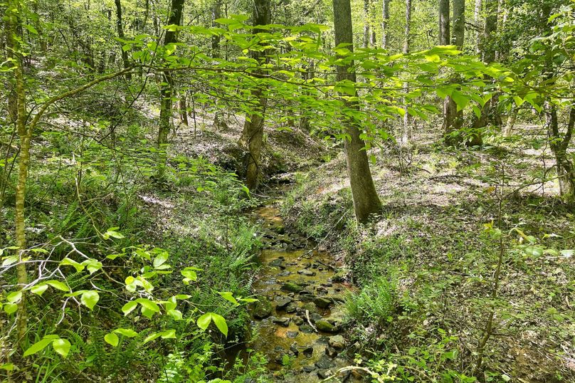 10 Feeder Creek 02