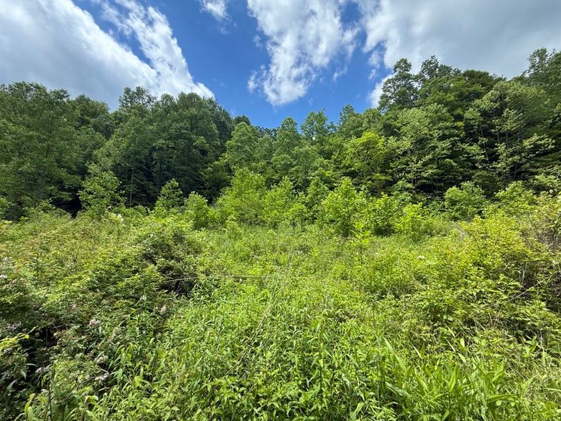 029 more of the field area as progression has taken place 