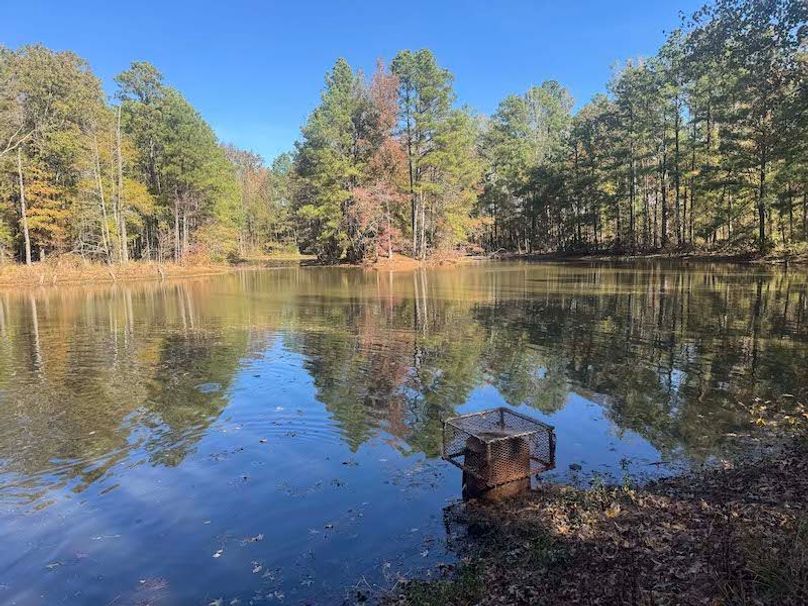 jeff 5020251111_0307