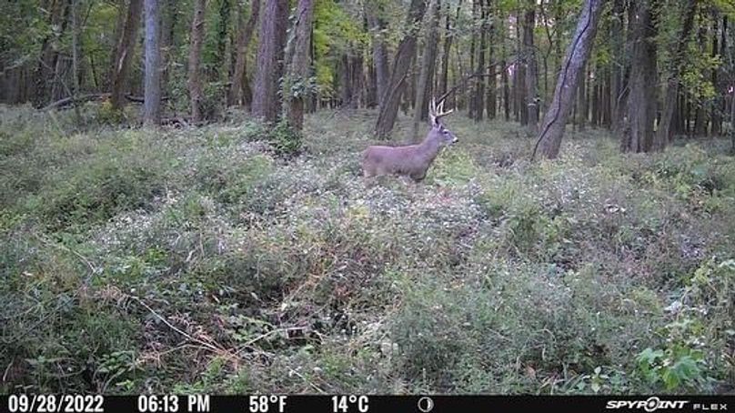 0DC0D615-B955-495C-9C20-BC26030D13C1